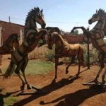 WhatsApp Image 2024-11-10 at 14.02.16