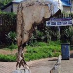 WhatsApp Image 2024-11-10 at 14.02.31 (1)