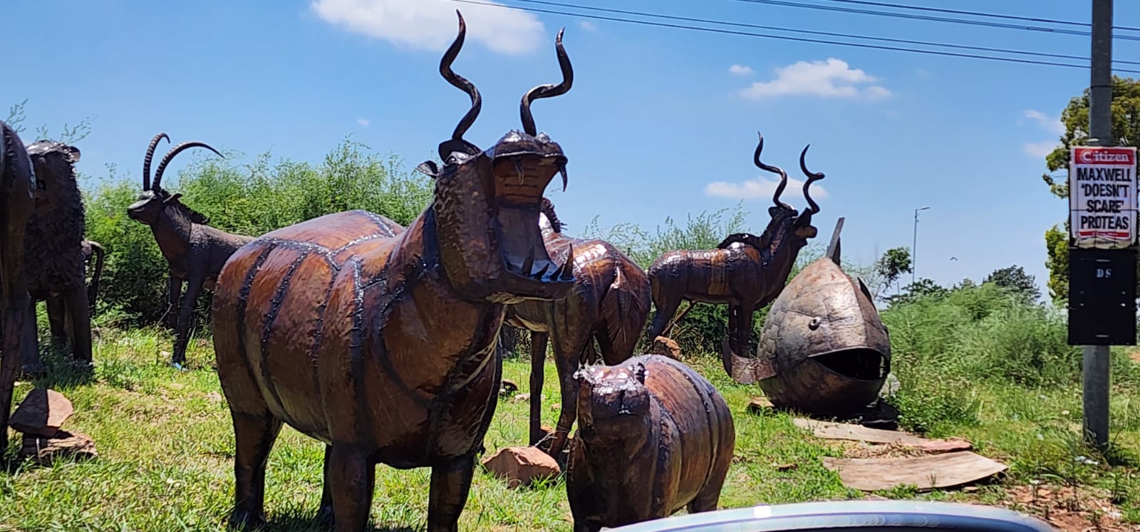 WhatsApp Image 2024-11-12 at 14.31.47 (1)